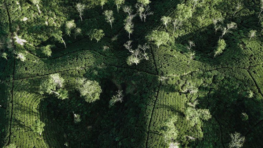 Nihab Rahman: Capturing the Beauty and Resilience of Bangladesh