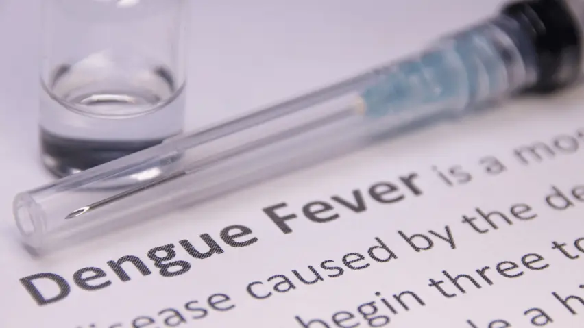 How to Stay Safe: Strategies to Prevent Dengue Fever