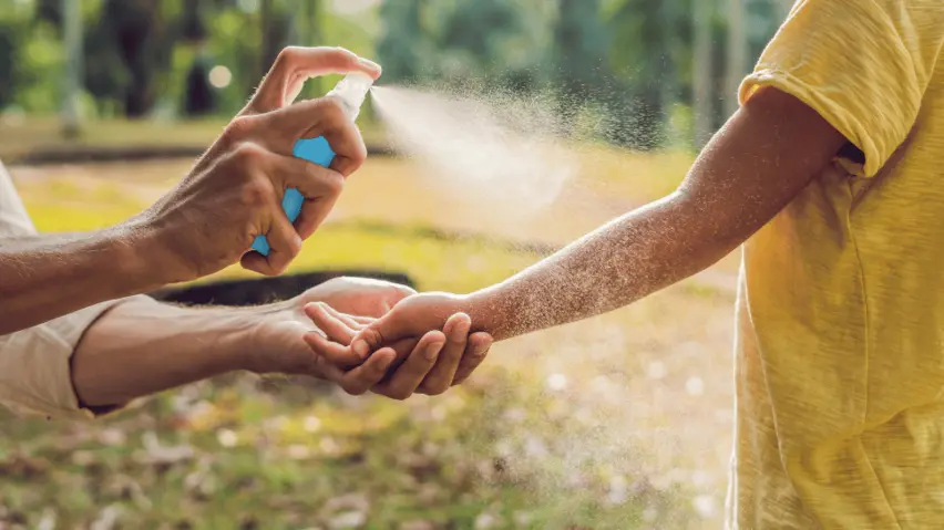 How to Stay Safe: Strategies to Prevent Dengue Fever