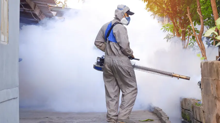 How to Stay Safe: Strategies to Prevent Dengue Fever