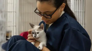 How AI Vets Diagnose and Treat Pets Faster Than Ever!